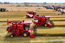 9公斤轮式小麦收割机，雷沃谷神vs江苏沃得，最新款“碰撞”过招图片