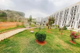 惠州伯恩光学电子厂怎么样？图片