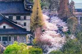 中国唯一“三省省会”，省内万人嫌，省外的台湾却对它情有独钟图片