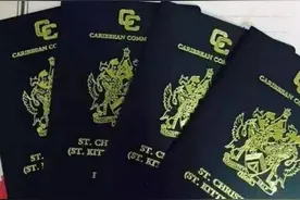 圣基茨，多米尼克，土耳其国籍优势移民英国的总评比详细分析图片