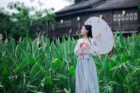 150句诗词接龙，一口气读完150句唐诗宋词，太爽了！图片