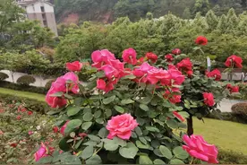 乡村教育越来越沦落了，谁来救救乡村教育？图片