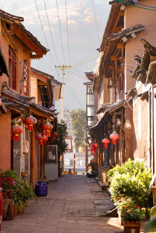 云龙，太宝藏了！