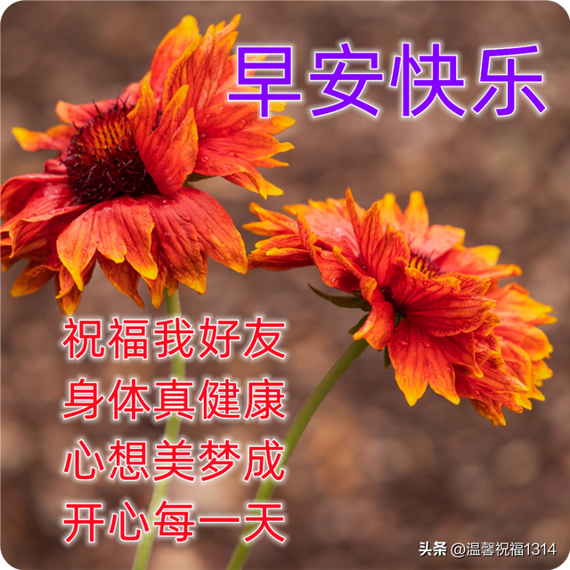 11月15日星期二最新早上好问候图片带字 微信群发暖心的早安图片