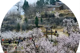 恩情不是爱情——即使有救命之恩，也不要以身相许图片