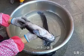 这才是鲶鱼最好吃最正确的做法，鲜香滑嫩无腥味图片