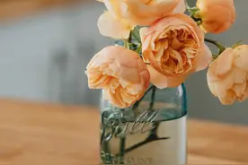 中年男人渴望听到的情话，大都很“现实”！图片