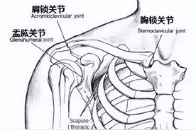 肩周炎的“尾巴”——背手困难怎么治？图片