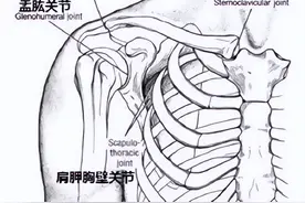 肩周炎的“尾巴”——背手困难怎么治？图片