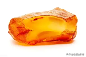 一味既能安神治疗失眠，又能活血散瘀止血的良药图片