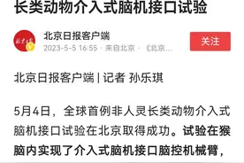北京成功完成灵长类脑机接口试验，不久将来或将实现人和动物聊天图片