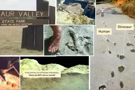 与恐龙同行的人（二）：埃尔维斯·德尔克脚印图片