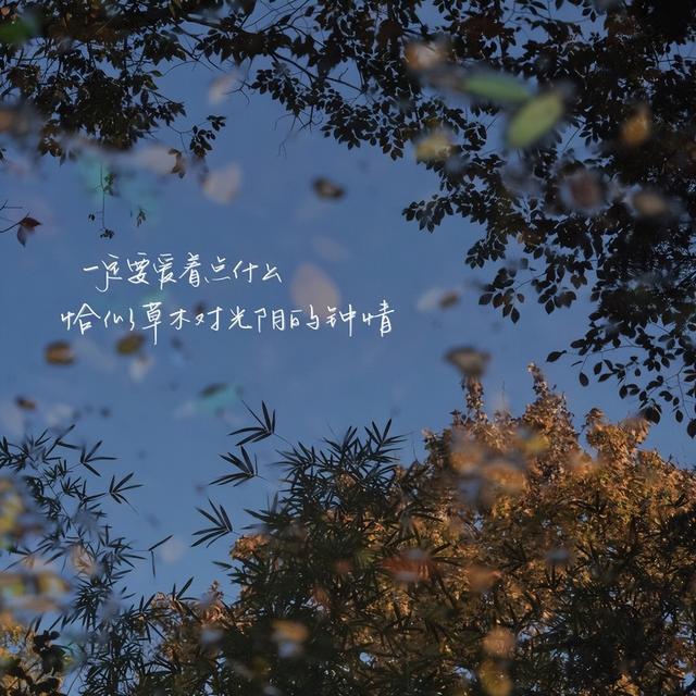朋友圈优质文案,句句走心
