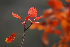 男人真爱你的证明：在你面前，经常有这几个生理性表现图片