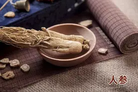 每天学习一味中药——人参图片