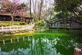 成都人民公园图片