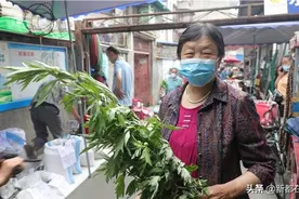 端午节，你买艾叶菖蒲了吗？图片