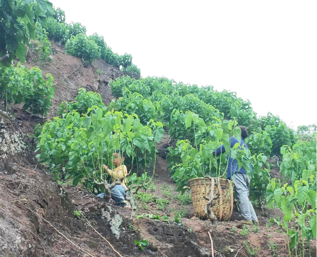 四川省民生研究会新媒体中心-官网