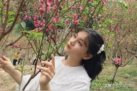 珺璟如晔，雯华若锦图片
