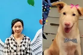 最美兽医简稚澄：给700多只流浪狗安乐死，最后一针留给新婚自己图片