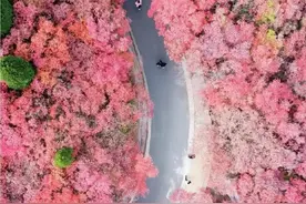 4条航线5座城！鄂州花湖机场又上新图片