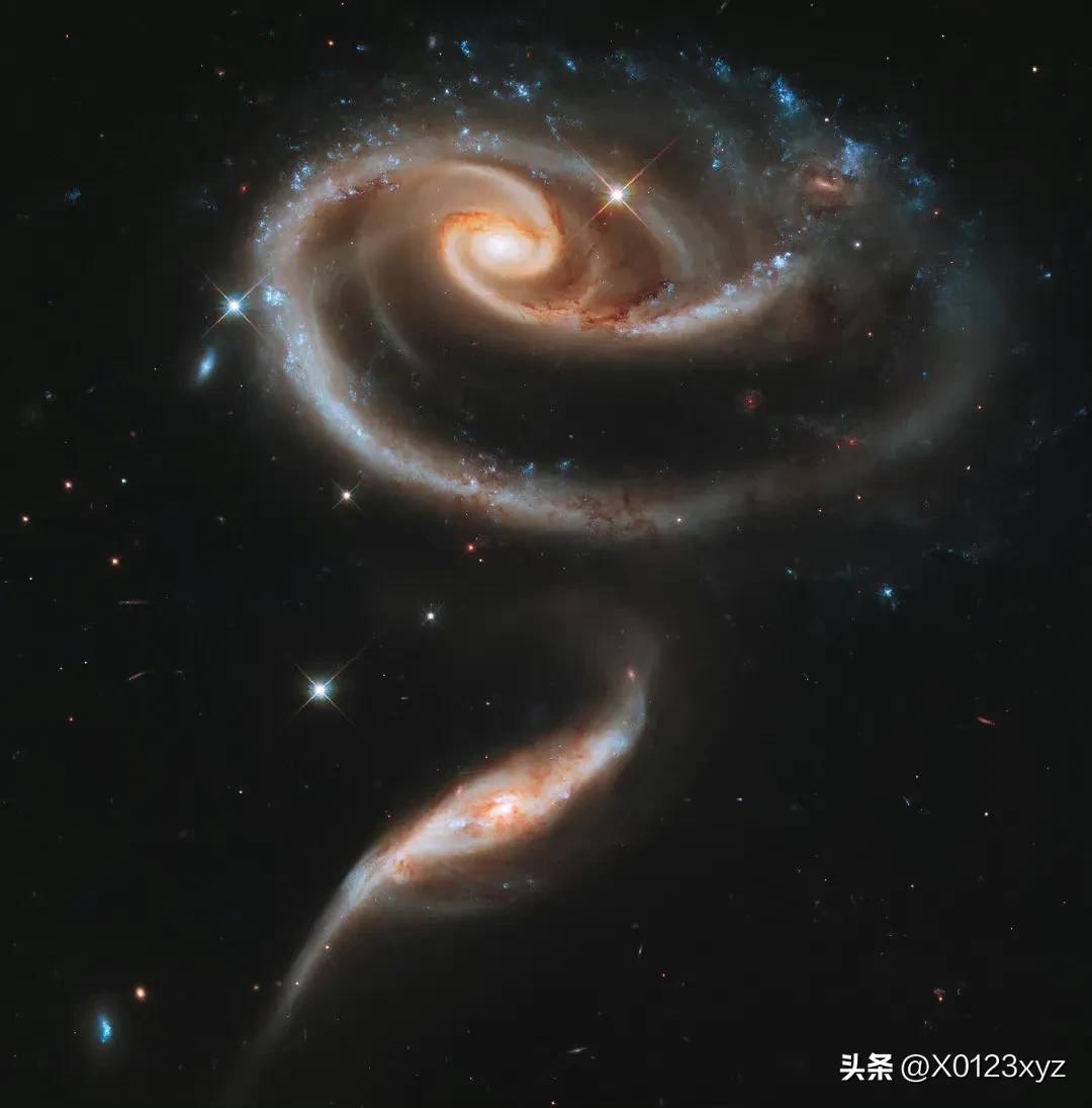 词项逻辑:直接推理插图17 词项逻辑:直接推理