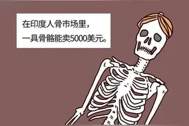 如果把身体器官卖到黑市，能值多少钱？（漫画揭秘）图片