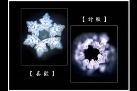 《水知道答案》：对水说些好话，体验它带给你的强大疗愈力图片