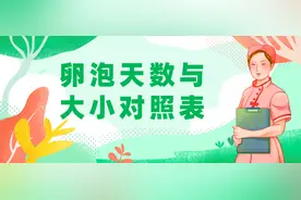 卵泡天数与大小对照表，各时间卵泡生长速度快慢，一看便知图片