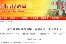 快看！泰州这些道路桥梁将有新名字图片
