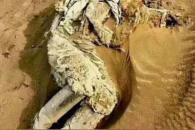 他执行秘密任务命丧罗布泊，在沙漠风吹日晒56年后终被探险队发现图片