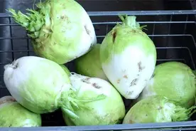 教你在家腌芥菜，脆爽好吃又呛鼻，腌1天就能吃，做法超简单图片