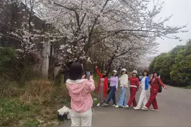 等你来赏！红枫湖畔的花花开了图片