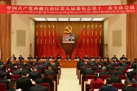 中国共产党西藏自治区第九届委员会第十一次全体会议在拉萨举行图片