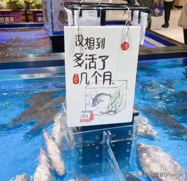 2022年十大营销案例