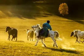 重温80年代，那时候的爱情简单又纯粹图片