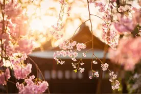 最美不过夕阳红，10首经典诗词里的夕阳，为霞尚满天图片