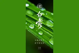 白露 | 与白露有关的诗句，露染山河，愿君无恙！图片