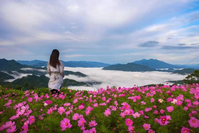 四川省民生研究会新媒体中心-官网