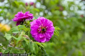 这些京郊避暑胜地，处处如入仙境！图片