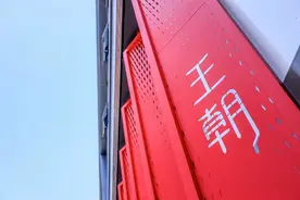 向新与向鑫，比亚迪与经销商19年的双向奔赴图片