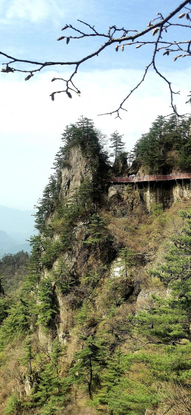 老君山，70岁老人登顶累不累？（逍遥游7）