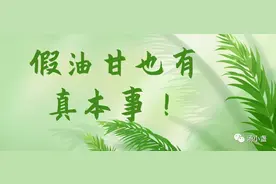 假油甘也有真本事图片