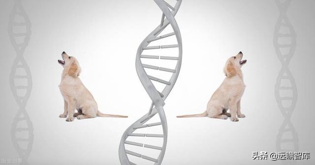 颠覆传统，合成生物：迎来历史发展机遇，乘势而起，引领未来