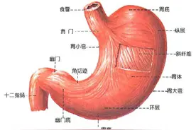萎缩性胃炎，如果已经出现了这2种症状，胃炎的癌变率大大加大！图片