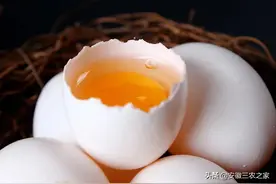 养殖类唯一可以食用的飞禽，市场前景如何？要看能否打造网红产品图片