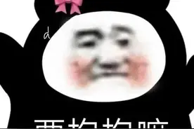 熊猫表情包图片