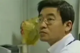 2009年，吉林一医生连续数夜听到奇怪猫叫，调查后发现事儿不简单图片