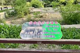 长春动植物公园上新图片