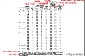 被狗咬了，十日观察法靠谱么？中国专家和WHO专家杠上了，谁对？图片